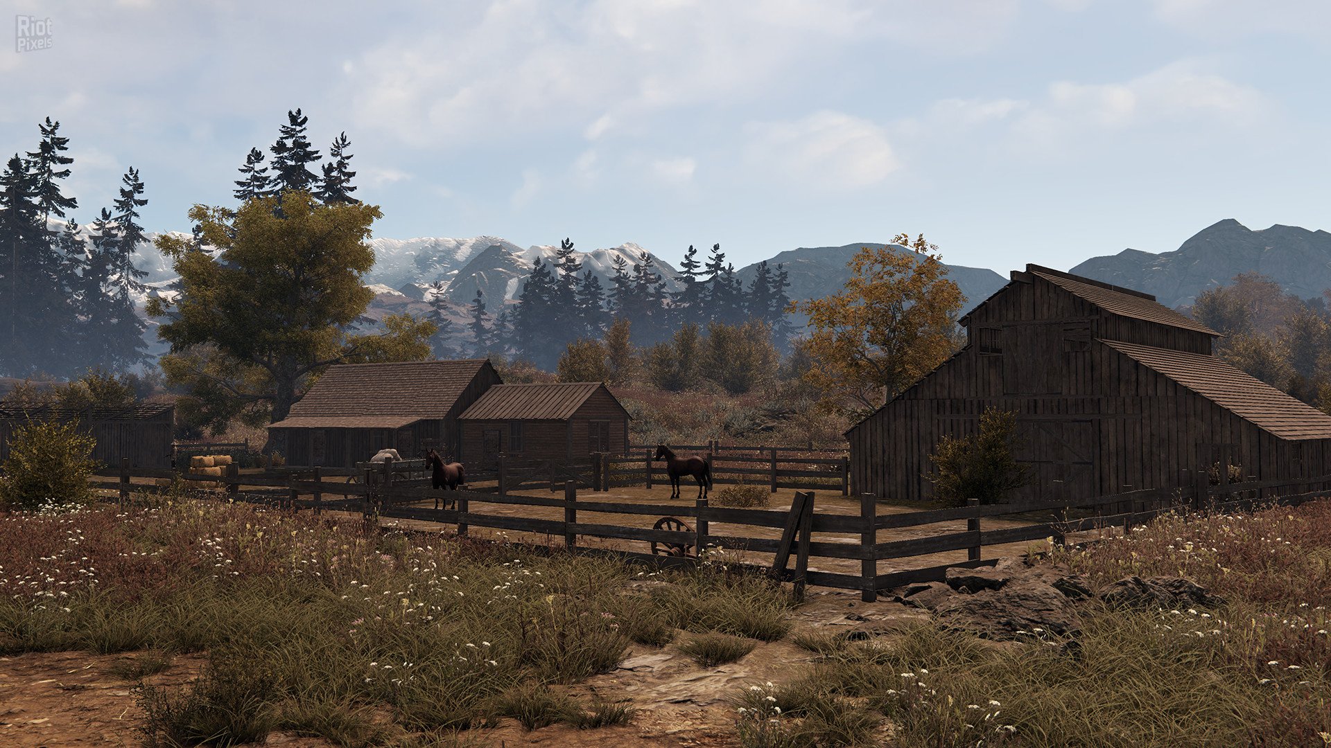 [5]-This Land Is My Land: Founders Edition – v1.0.3.18972 + 2 DLCs Download