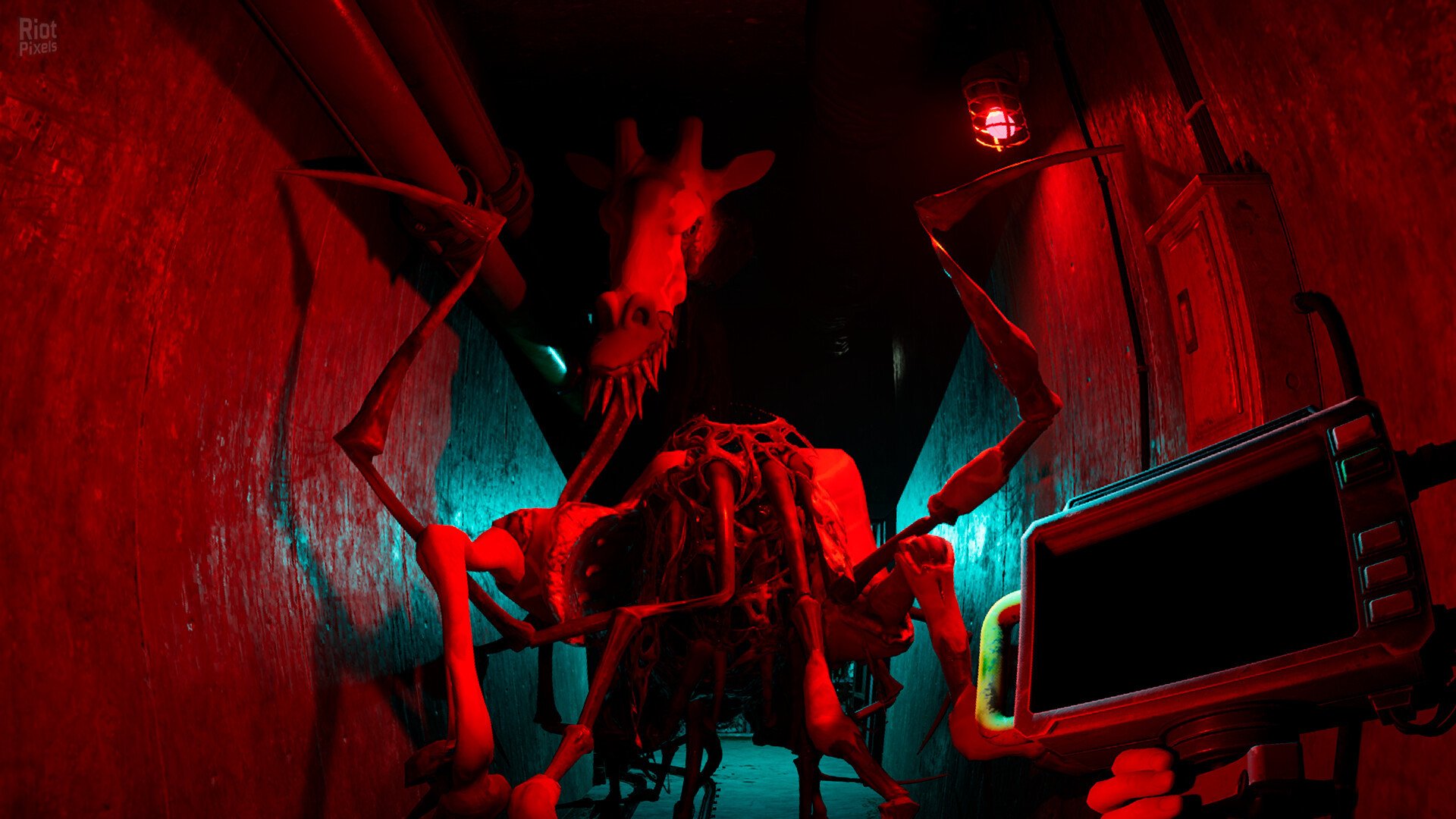 [13]-Zoochosis – v1.6.3 + Windows 7 Fix Download