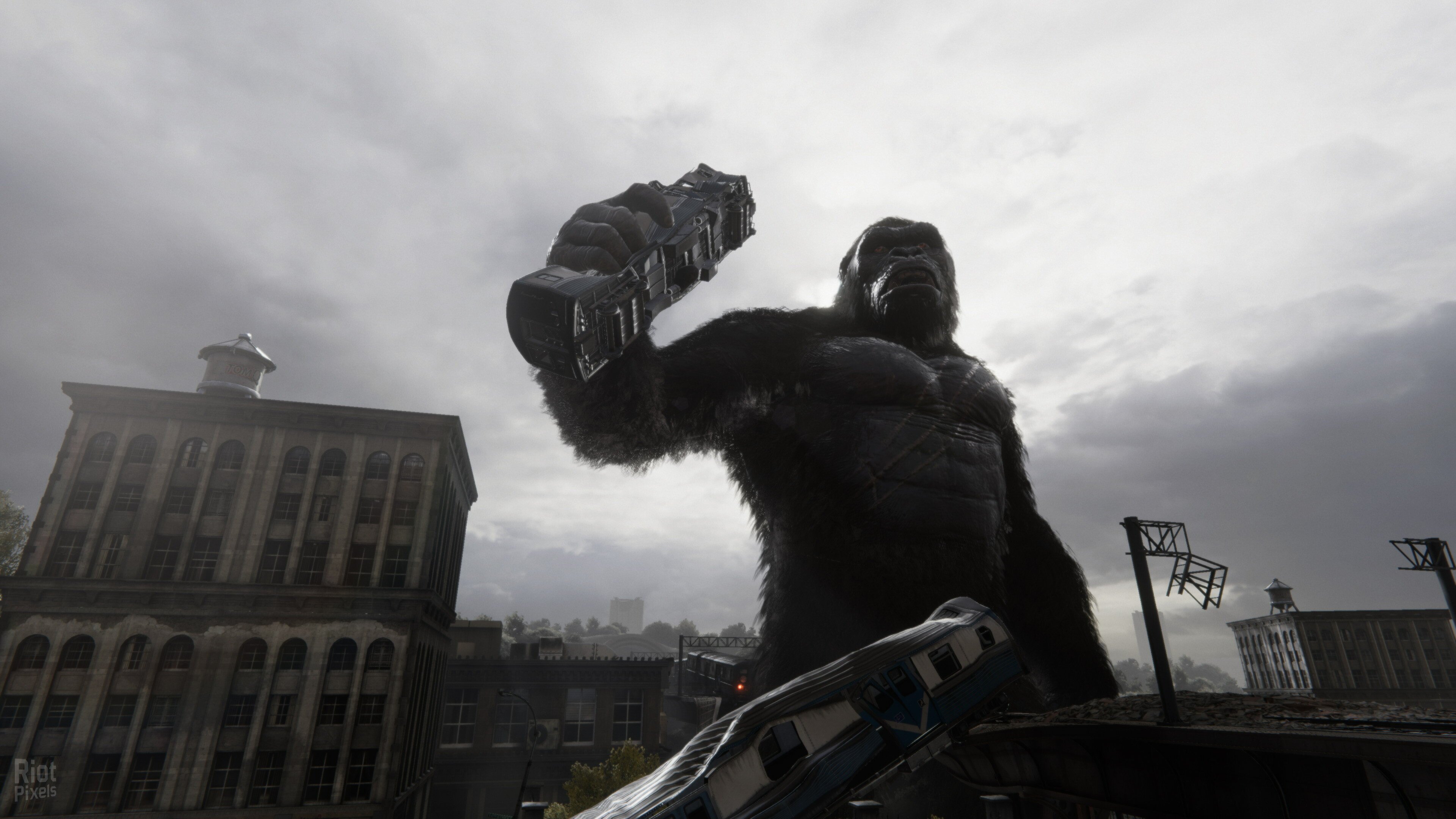 [14]-Kong: Survivor Instinct Download