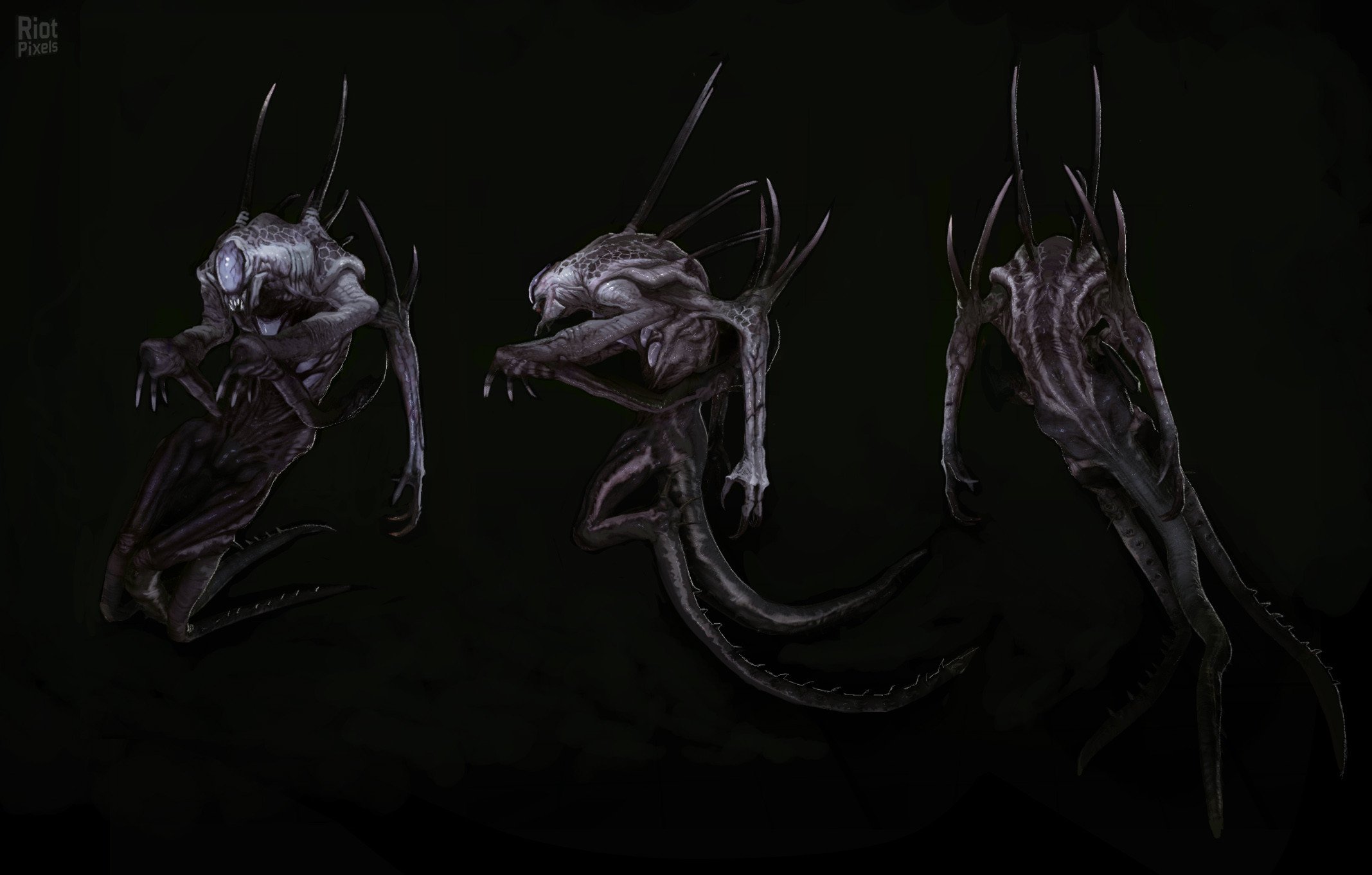 [24]-Evolve Download