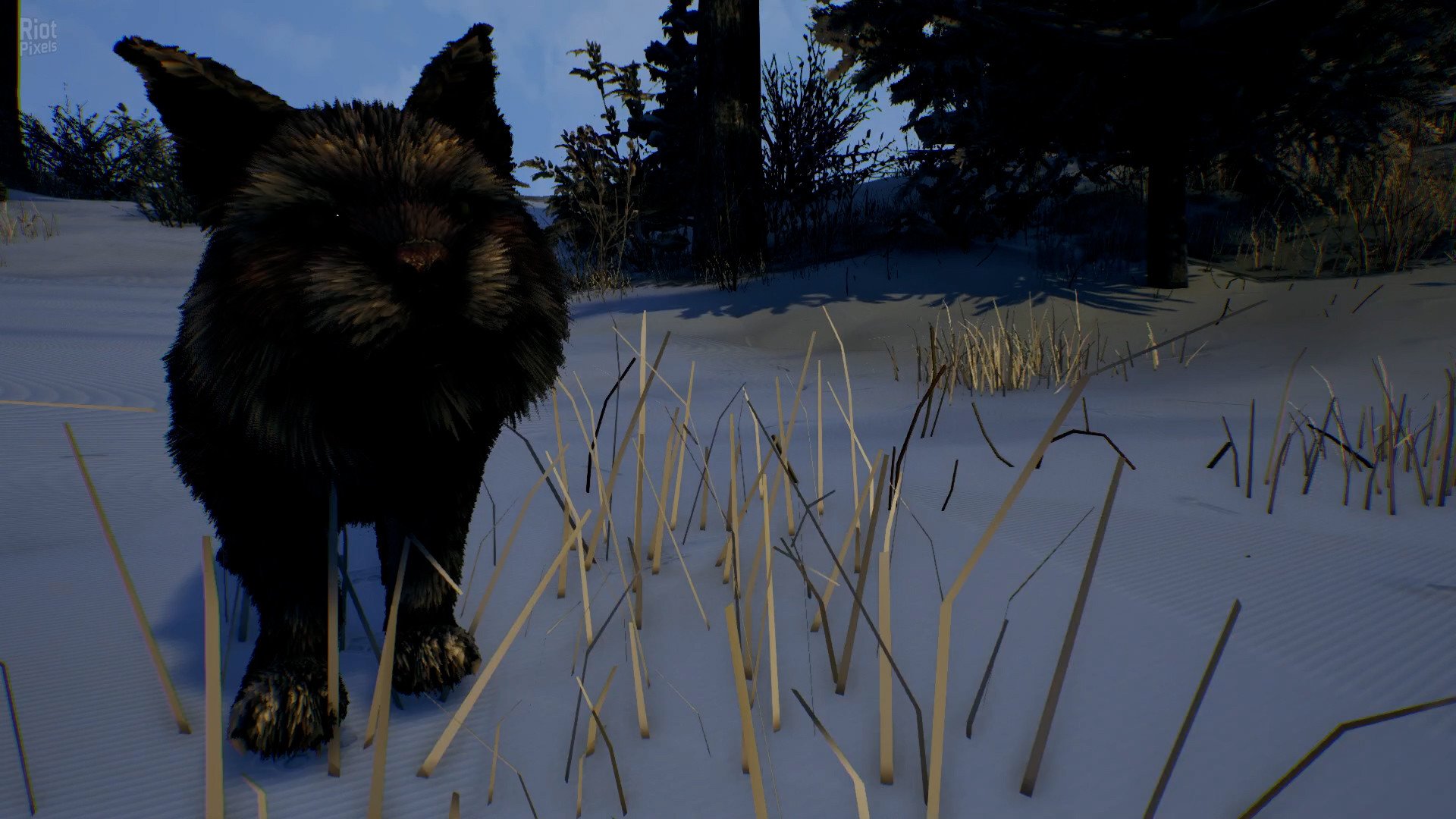 Open Country – v1.0.0.2636 Download