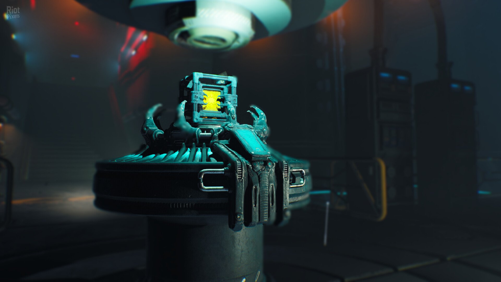 [11]-RIPOUT – v1.41:01 Download