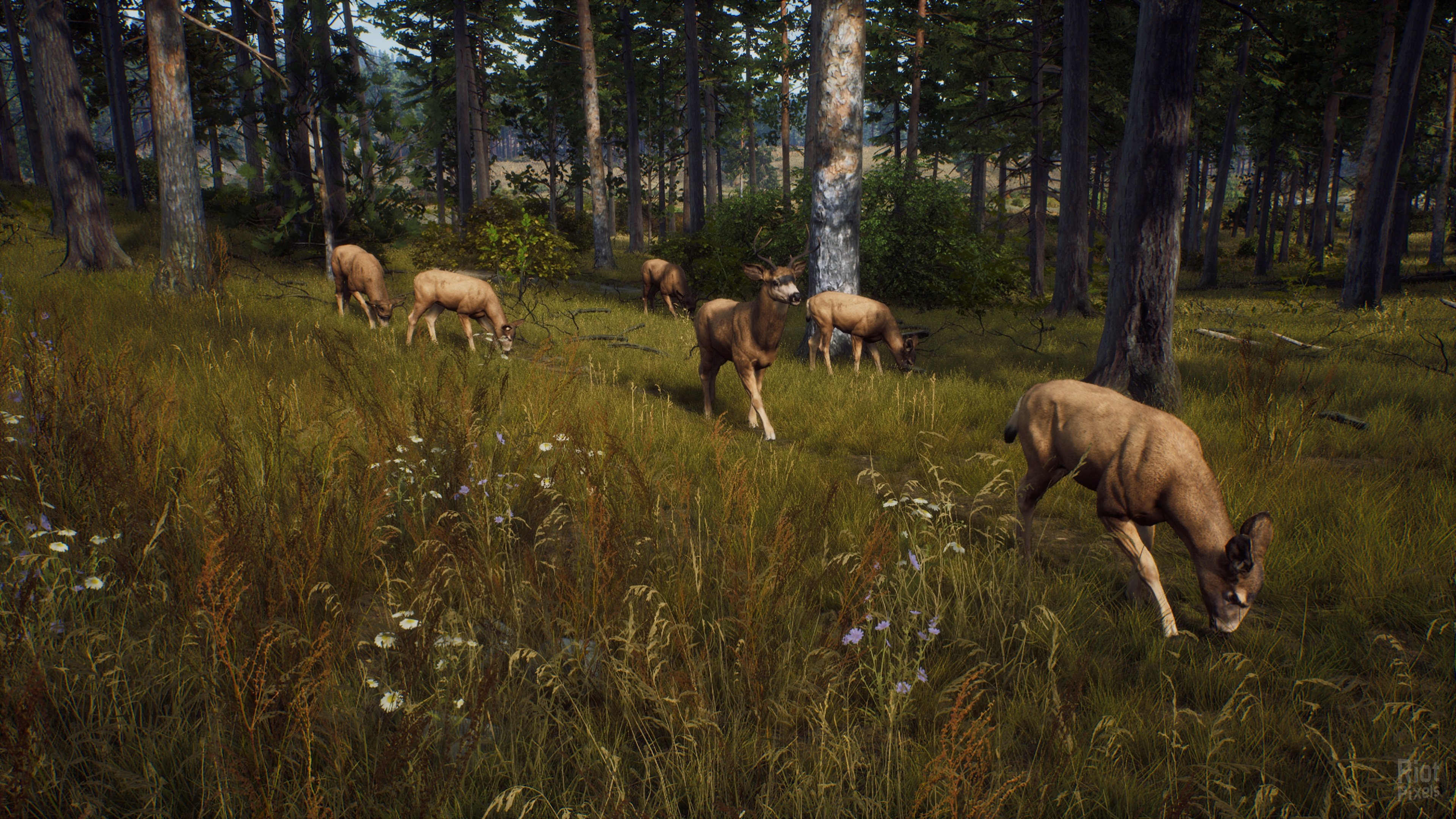 [3]-Way of the Hunter: Ultimate Edition – v1.28 + 14 DLCs/Bonuses + Windows 7 Fix Download