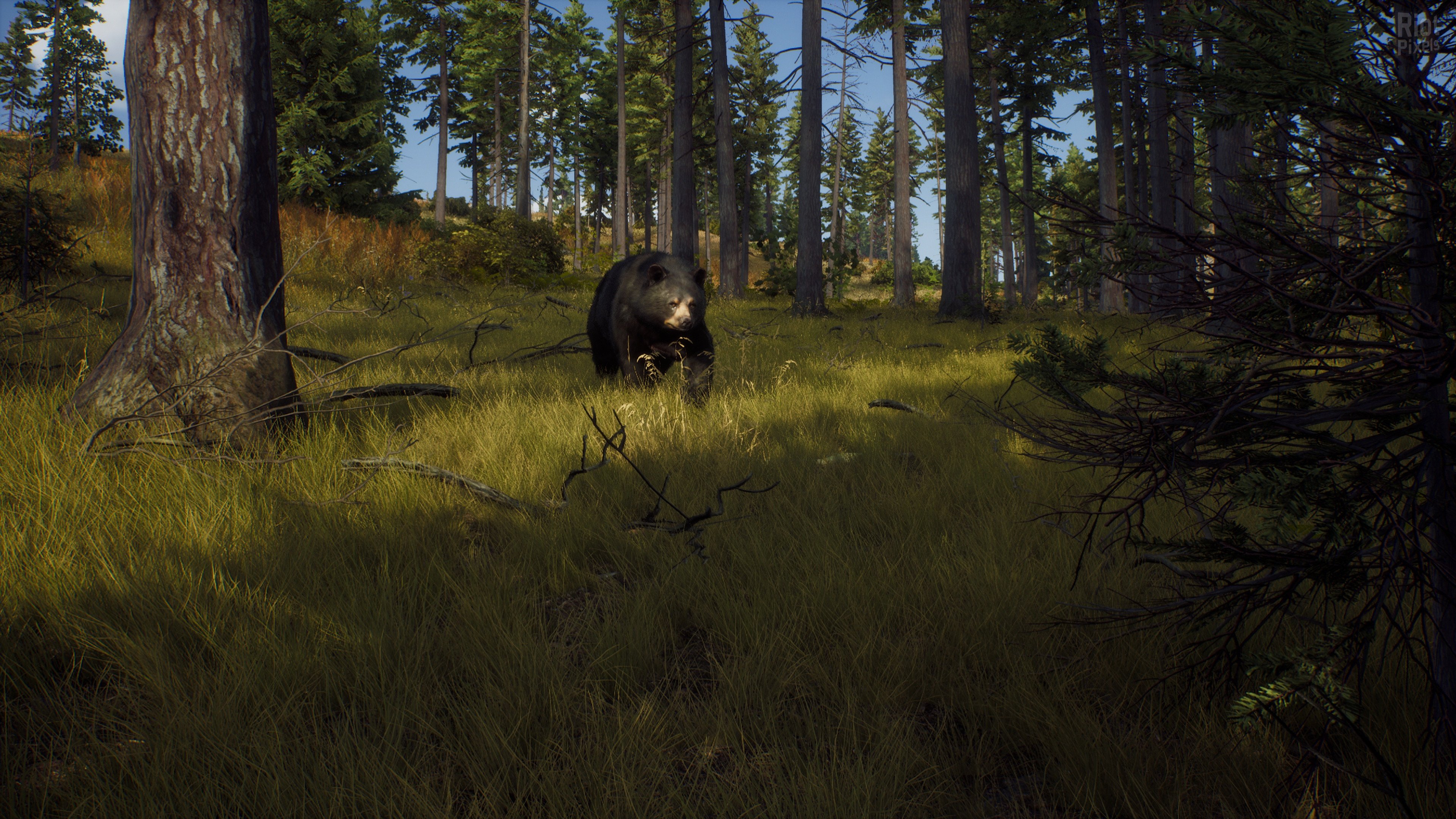 [7]-Way of the Hunter: Ultimate Edition – v1.28 + 14 DLCs/Bonuses + Windows 7 Fix Download
