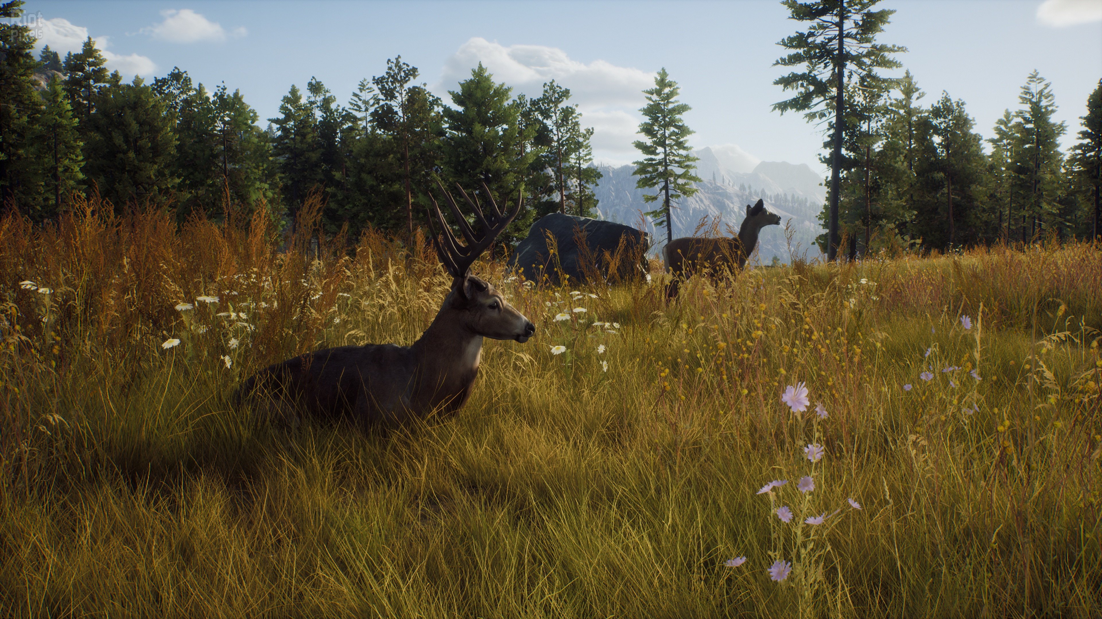 [6]-Way of the Hunter: Ultimate Edition – v1.28 + 14 DLCs/Bonuses + Windows 7 Fix Download