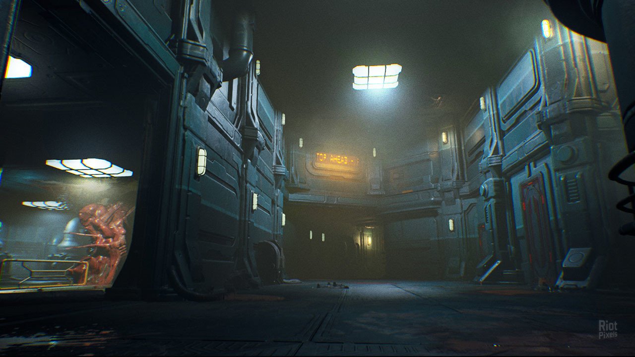 [3]-RIPOUT – v1.41:01 Download