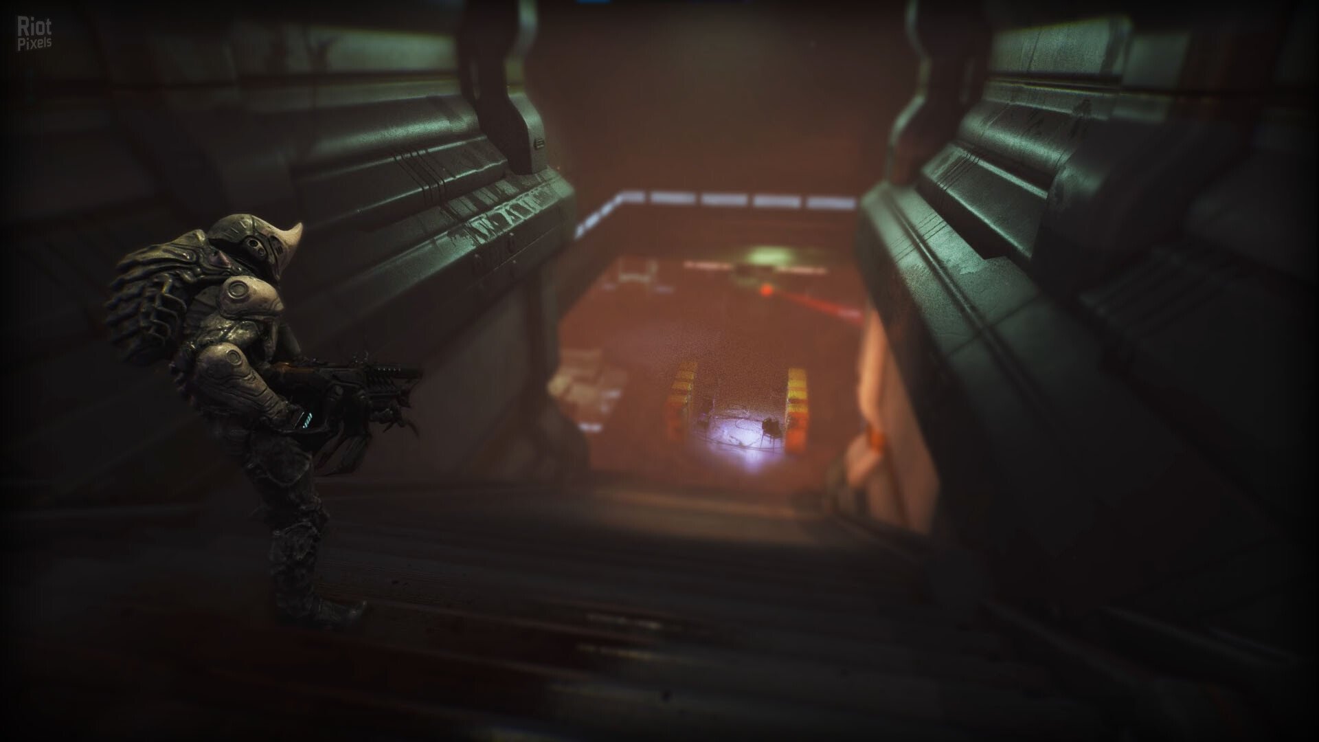 [13]-RIPOUT – v1.41:01 Download