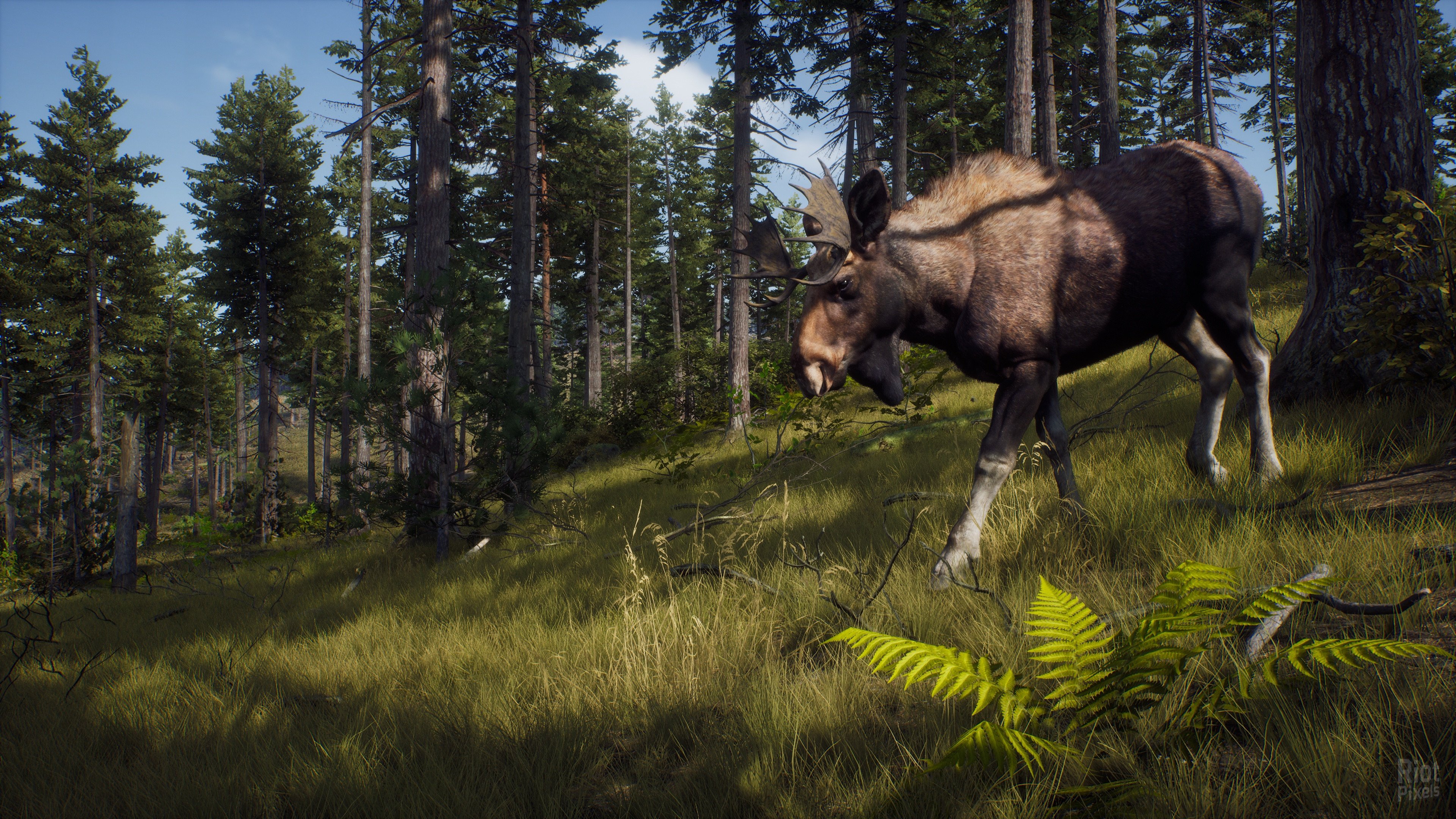 [5]-Way of the Hunter: Ultimate Edition – v1.28 + 14 DLCs/Bonuses + Windows 7 Fix Download