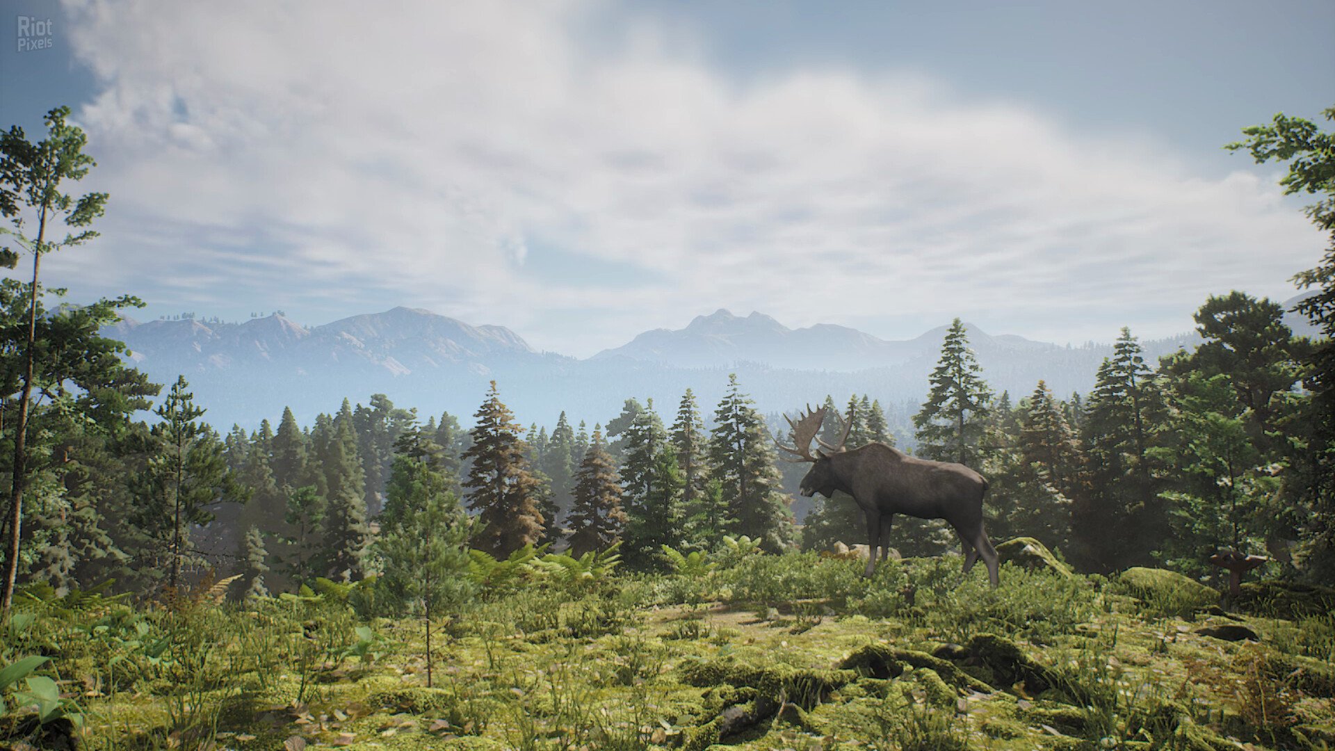 [2]-Project Hunt – v2025-9-25 + Lone Star Hunting Ranch DLC Download