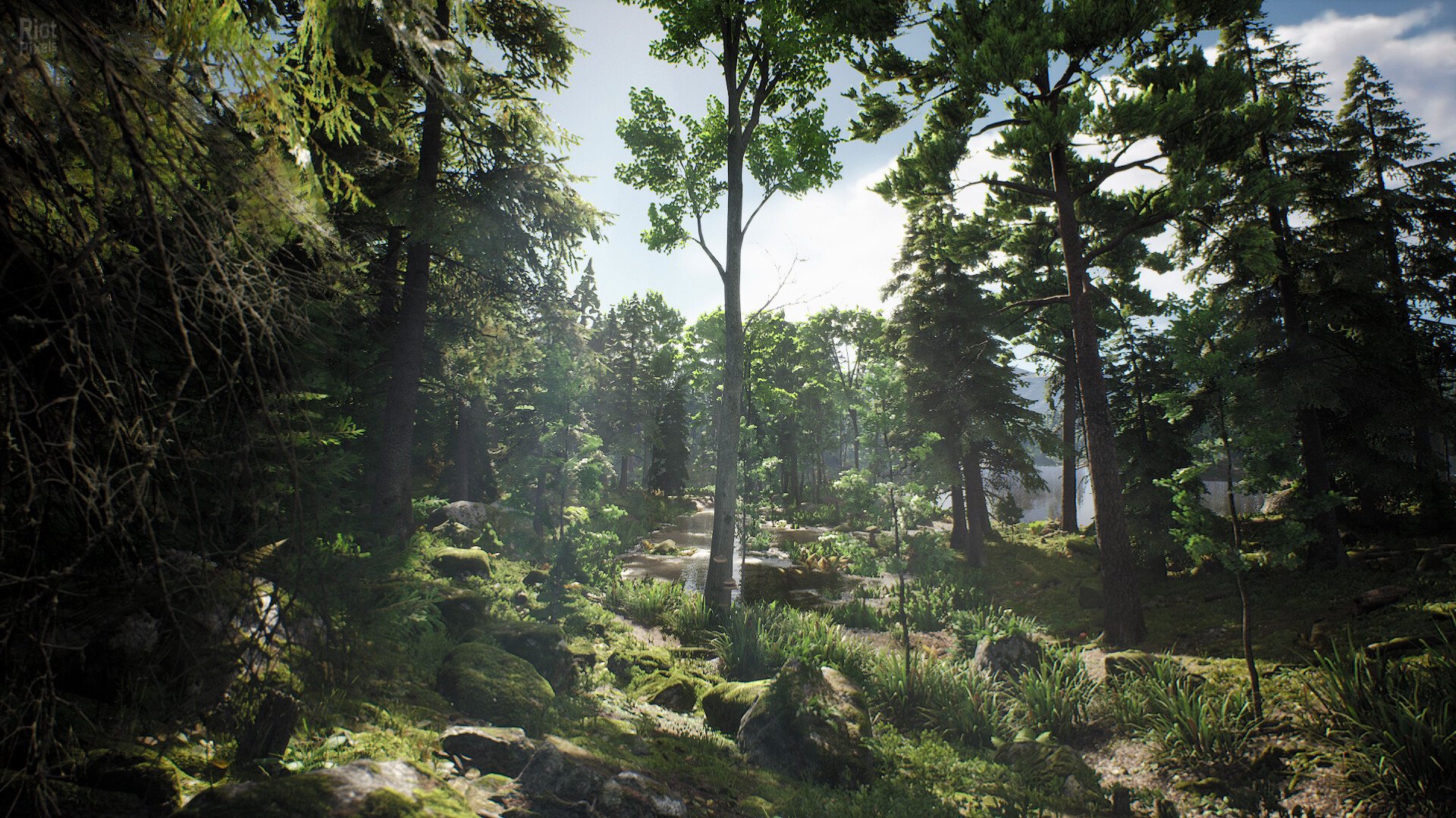 [10]-Project Hunt – v2025-9-25 + Lone Star Hunting Ranch DLC Download
