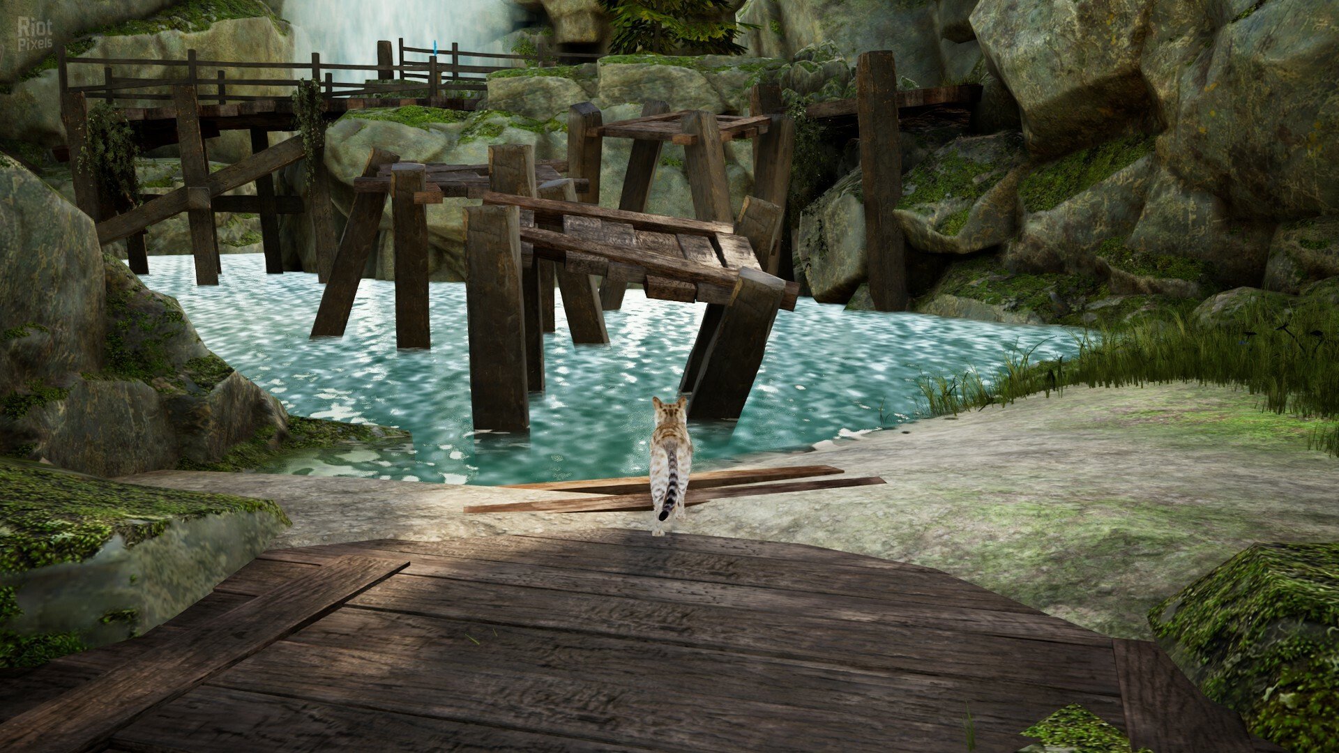 [3]-Curiosity – v1.0.1 Download