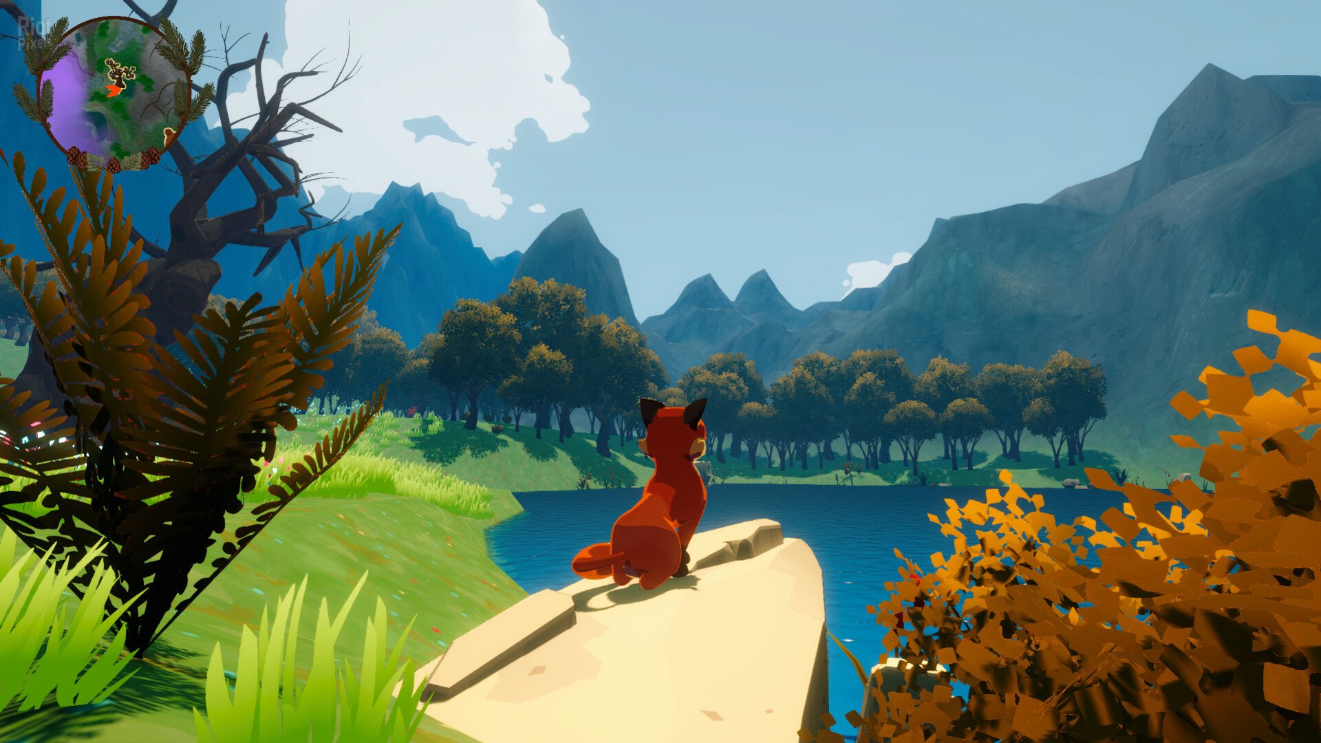 [5]-Harmony in the Wild Download