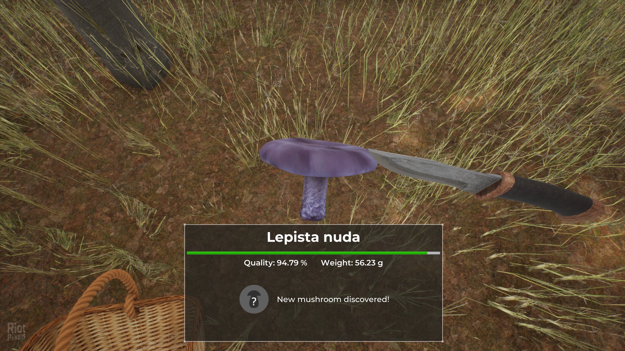 [3]-Mushroom Hunter World – v1.0.2 Download