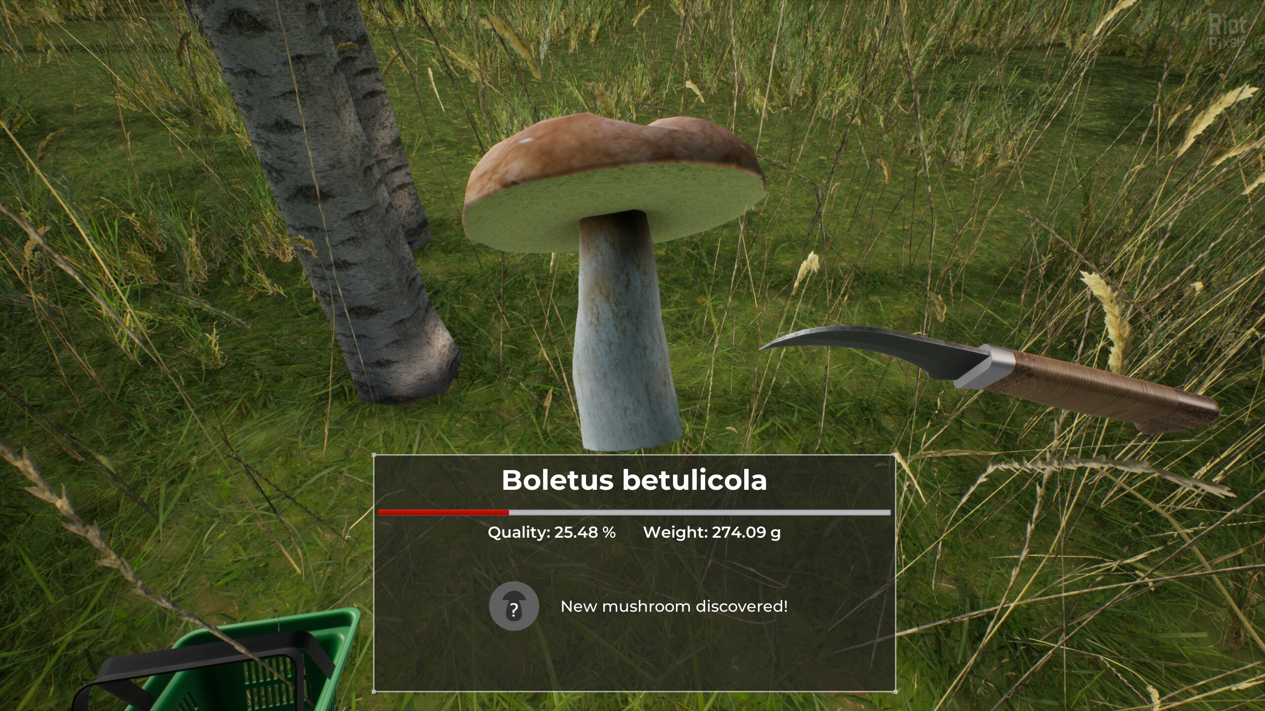 [7]-Mushroom Hunter World – v1.0.2 Download