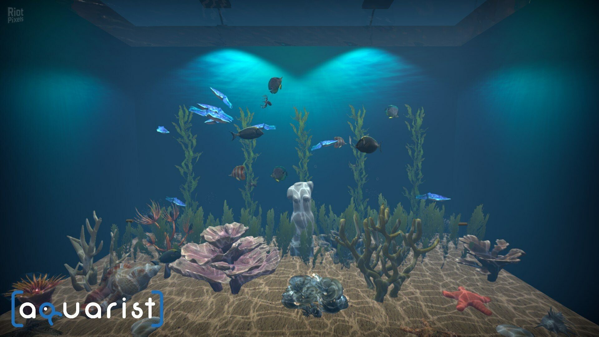 [4]-Aquarist: Full Experience Bundle – Build 19940524 + 4 DLCs Download