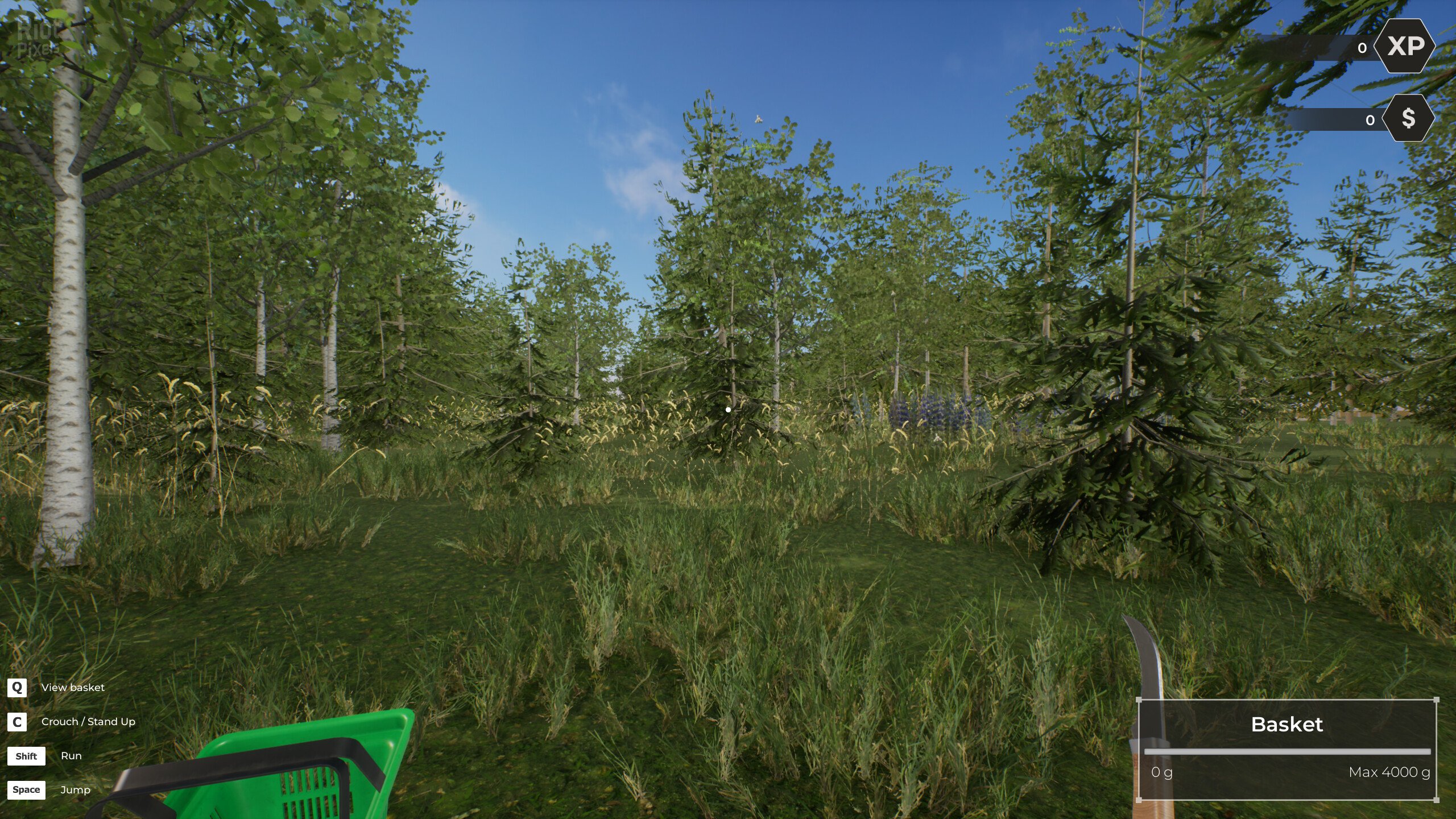 [5]-Mushroom Hunter World – v1.0.2 Download