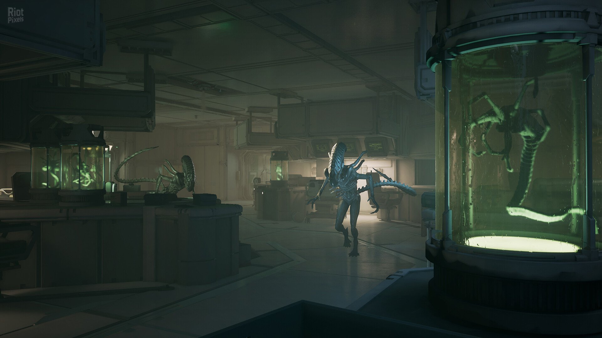 [2]-Alien: Rogue Incursion Evolved Edition – Deluxe + 2 DLCs Download